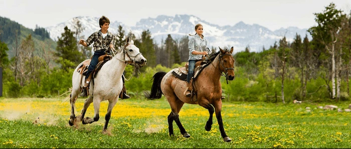 Confident plus-size woman riding Hucknall a horse through a field with a smile on her face.